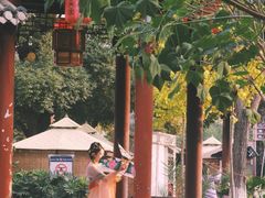 -龙潭水乡