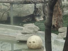 -成都动物园