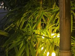 -蓝楹湾度假酒店