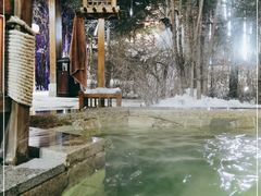 -汉拿山温泉度假酒店