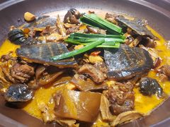 冬笋焖生态甲鱼-山壹竹庭院餐厅