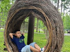 -黄海国家森林公园