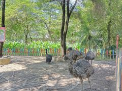 -广东花都香草世界旅游度假区