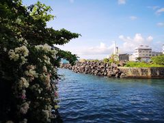 -海盗餐厅