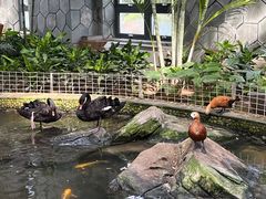 -南宫五洲植物乐园