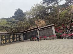-向外鱼乐·土菜·虹鳟鱼