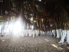 -胡里山炮台