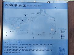-天鹅湖体育公园