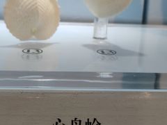 -温州博物馆