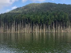 -明月山天沐温泉度假村