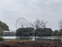 -蠡湖大桥公园