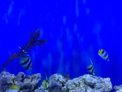 -石林冰雪海洋世界