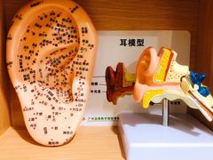 -尔悦采耳·头疗·SPA体验馆(万象城店)
