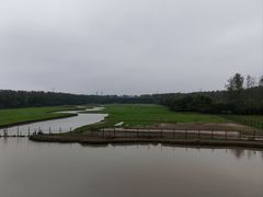 -溱湖国家湿地公园