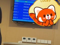 -上海交通大学医学院附属第九人民医院(浦东院区)