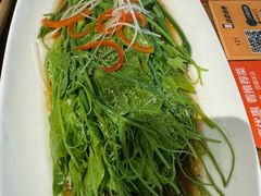 白灼丝瓜尖-懒人盐府人家·自贡大麻鱼(安贞店)
