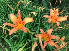 -贵阳市花溪国家城市湿地公园