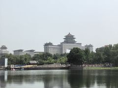 -莲花池公园