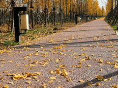 -西安汉城湖景区