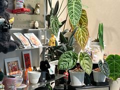 -Dogi&kiki Coffee(中心商务大厦店)