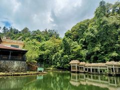 -云南屏边大围山国家公园