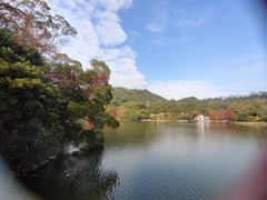 -深圳仙湖植物园
