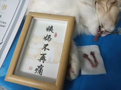 -瑞派旺宝宠物医院·犬猫全科综合·尿道专科(莲兴院)