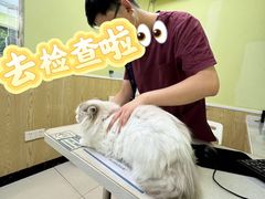 -上海第一八佰伴