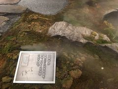 门面-Seesaw Coffee(朝阳大悦城店)