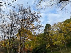 -南山风景名胜区