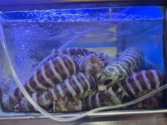 -富来美食(成发大厦店)