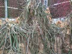 -南通洲际绿博园