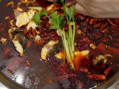 -老表牌·蛙蛙鸡冷锅鱼(成都东站店)