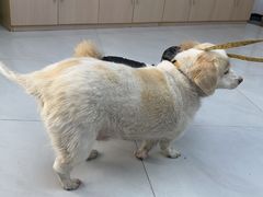 -华天延吉餐厅(西安门二店)