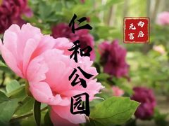 -仁和公园(顺义区)