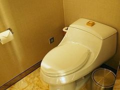 -上海浦东丽思卡尔顿酒店