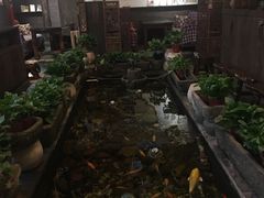 大堂-有梦特色餐厅(古子城店)