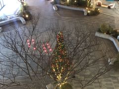 -芳菲舞蹈(杨莲路店)