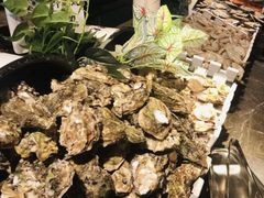 -星伦多 自助料理(圆融店)
