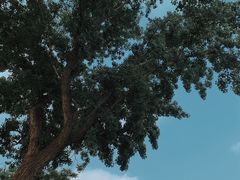 -三里河公园