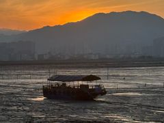 -北岐滩涂