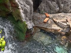 -大阪海游馆