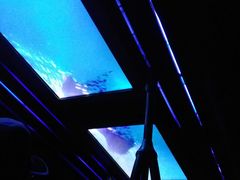 -海洋公园海洋列车－海滨站
