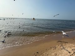 -老虎石海上公园