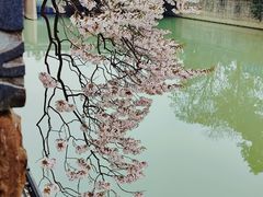 -红星桥(地铁站)
