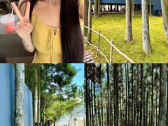-玉苍山国家森林公园