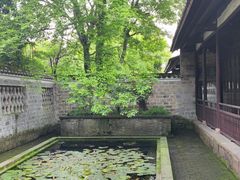 -八大山人梅湖景区