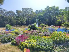 -广州市白云山风景名胜区