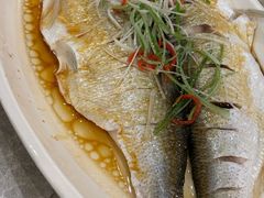 -状元楼(金溪路店)