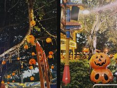 -广州长隆欢乐世界